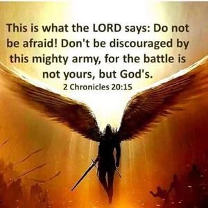 Meet your Posher, Elmore